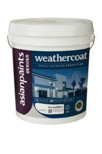 Asian Paints Berger Weather Coat Flex-Tex Ultra
