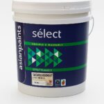 Asian Paints Berger Select Tartaruga Roughcast 32Kg Magnolia