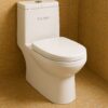 Milano Spice One Piece P Trap Water Closet 140500100636 - View 2