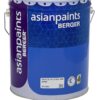 Asian Paints Berger Special Value Wood Primer