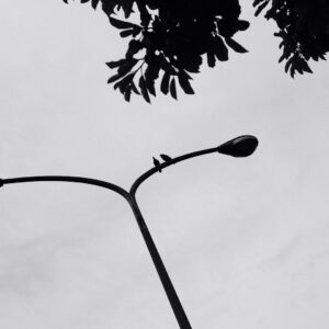 Shop Ball Pein Hammer